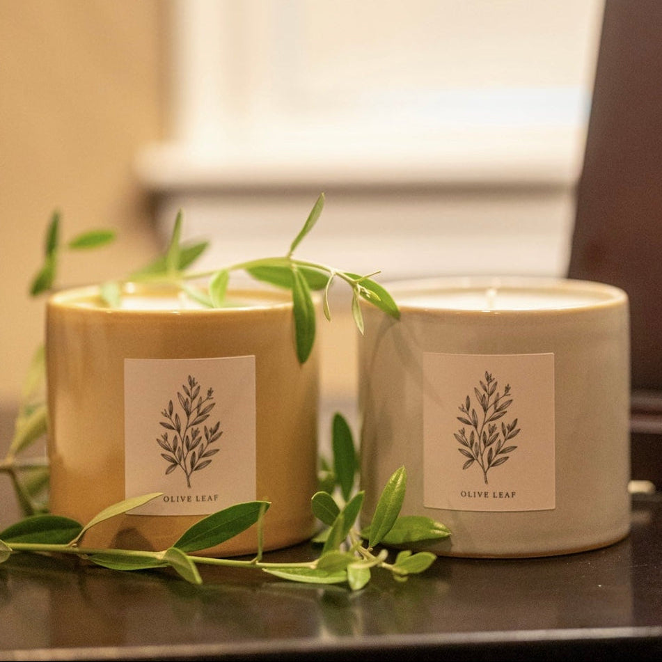 OLIVE LEAF