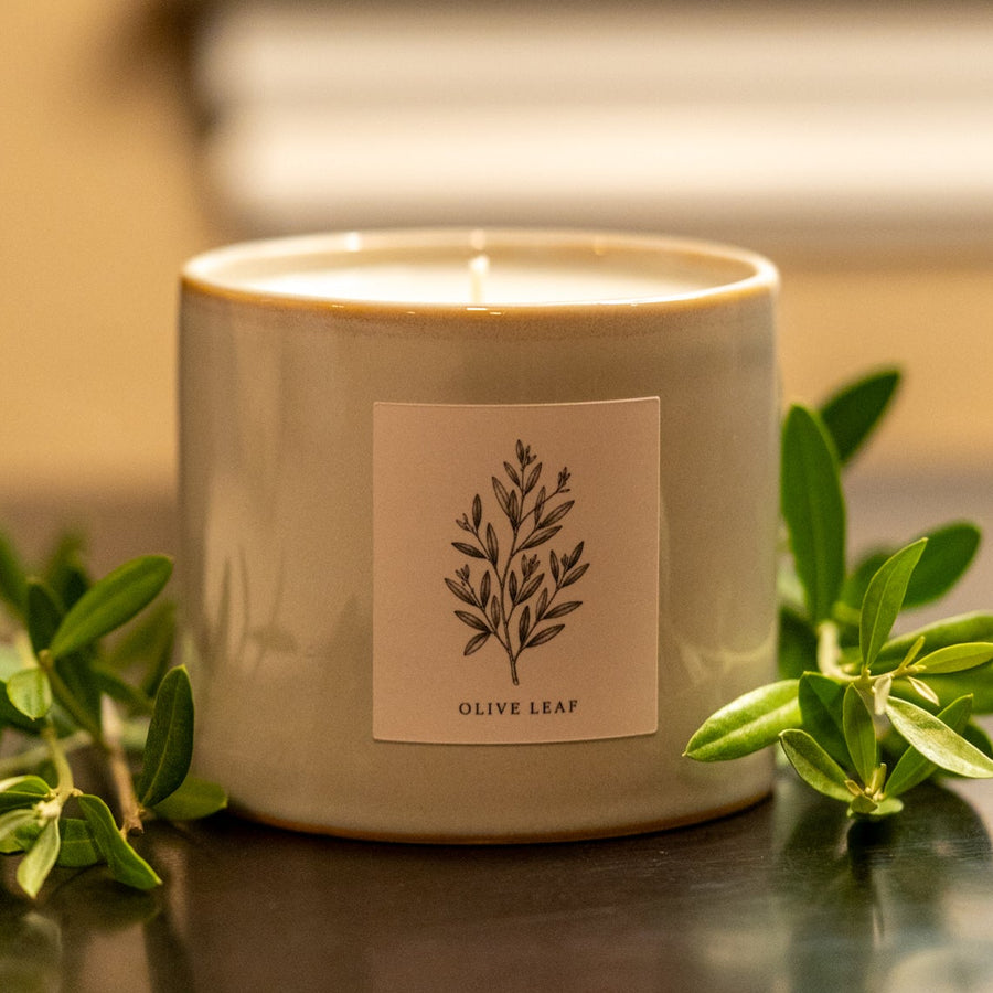 OLIVE LEAF