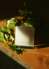 No. 02 GARDENIA BLANC