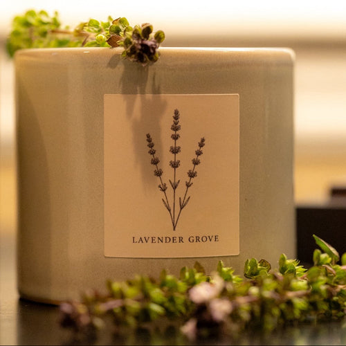 LAVENDER GROVE