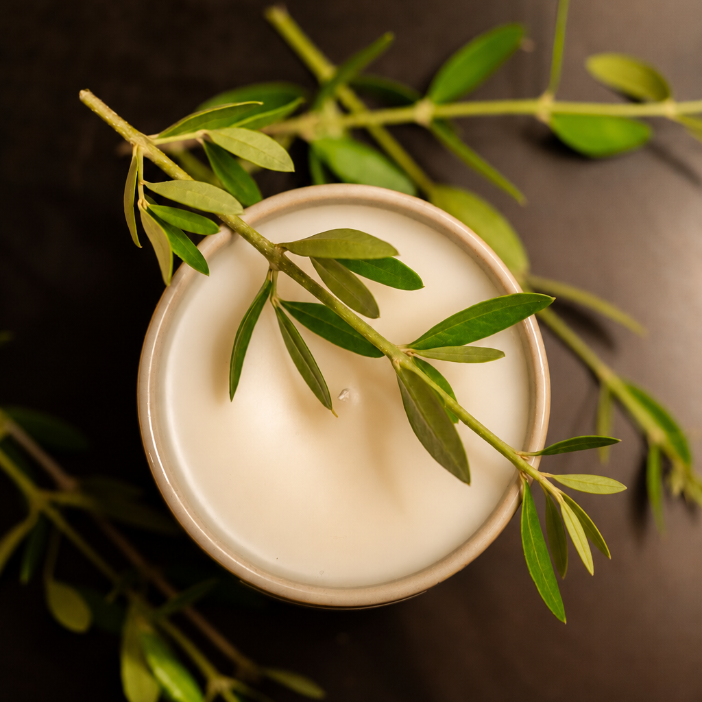 OLIVE LEAF